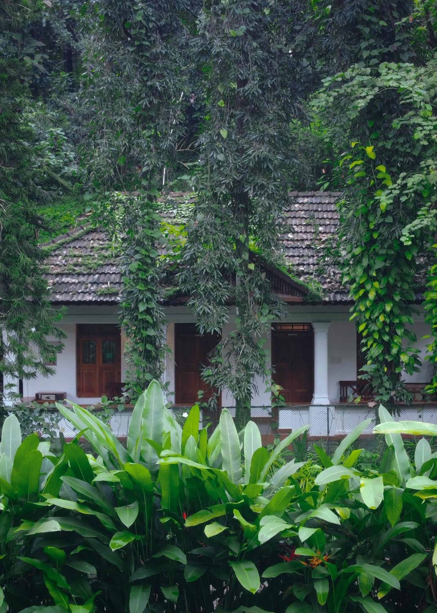 Vanilla County Vagamon Εξωτερικό φωτογραφία